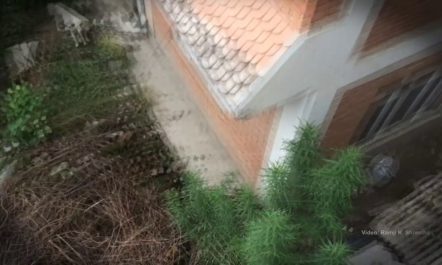 काठमाडौमा चितुवा आ‌ंतक A Leopard Enters a Home in Kathmandu…