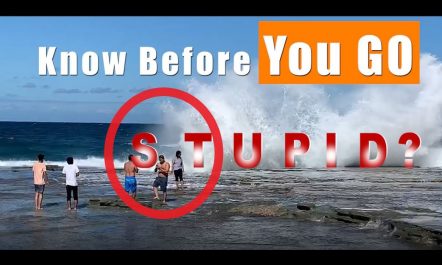 Don't be Stupid ! SAVE Yourself in Aussie Water |…