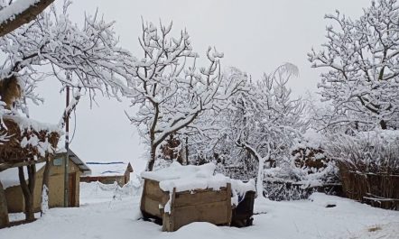 काठमाडौंमा चिसो, उच्च पहाडी र हिमाली क्षेत्रमा हिमपात !