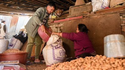 जाडोयाममा बदामको महत्व, काठमाडौंमा बढ्यो ब्यापार