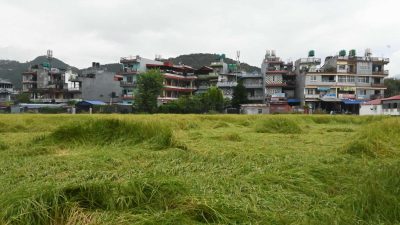 बेमौसमी वर्षाले पाक्न लागेको धानबालीमा क्षति ! (फोटो फिचर )