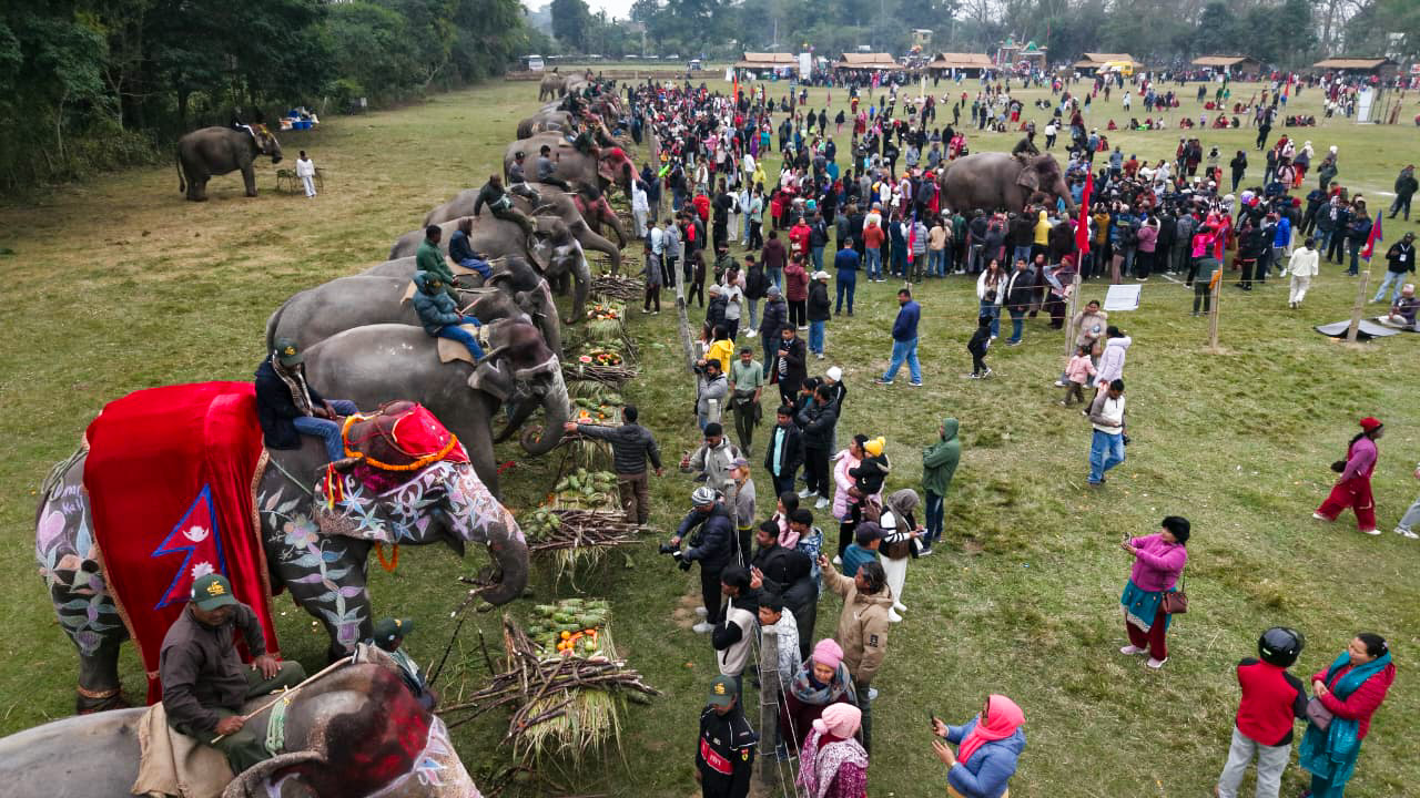 हात्तीलाई १५ परिकारको वनभोज खुवाएर सकियो चितवन हात्ति महोत्सव