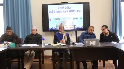 कांग्रेस केन्द्रीय कार्यसम्पादन समिति बैठक