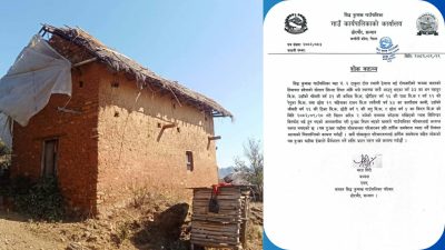 हिमाचल आगोलागी घटना : ९ नेपालीको मृत्युको खबर !