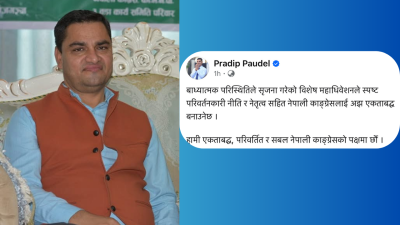 परिवर्तनकारी नीति र नेतृत्वसहित पार्टी एकताबद्ध बन्छ : प्रदिप पौडेल