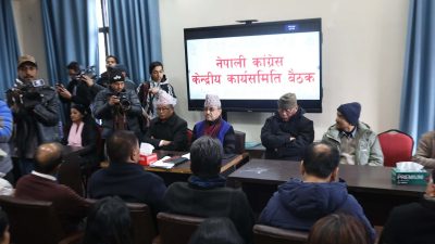 गगन र विश्वमाथी संस्थापनको कारबाही, दुई चिरा भयो कांग्रेस 